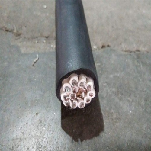 CEF/DA 24x1.5乙丙橡膠船用電纜