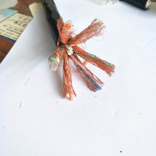  ZR-DJYPVP22-24*2*1.0鋼帶鎧裝計算機電纜 