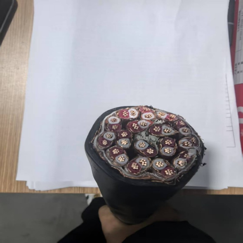  DJYP2VP2 4*2*2.5計算機(jī)電纜 