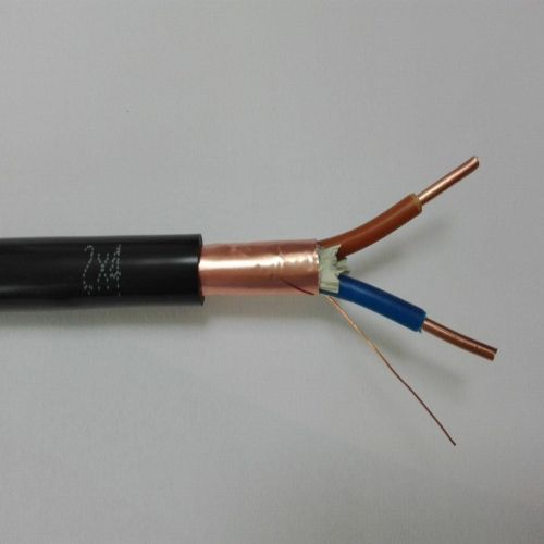  計算機電纜DJYVPVPR-10*2*1.5 